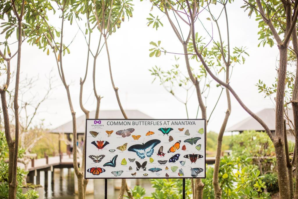 Anantaya Resort & Spa Chilaw Eksteriør billede